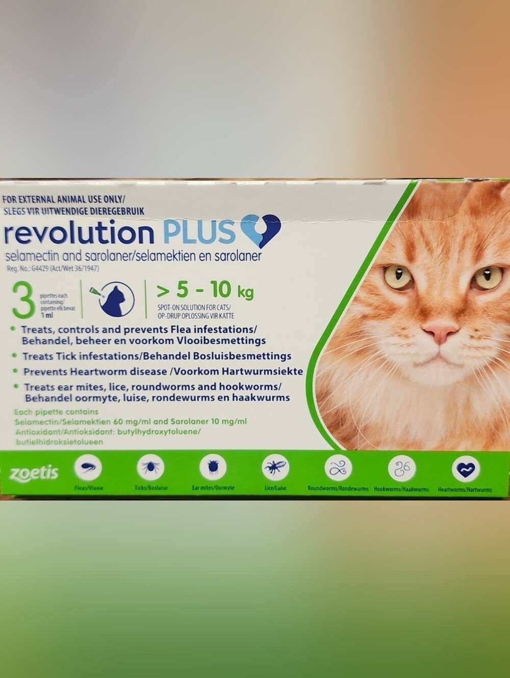 Revolution PLUS For CATS 11.1-22lbs.